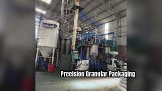 Granular Packaging Machine Precision Automation