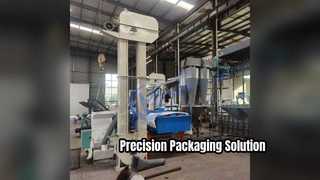 Granular Packaging Machine Precision Packaging